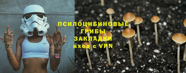 прущие крисы Кулебаки