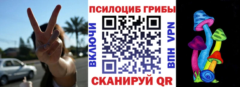 Галлюциногенные грибы прущие грибы  Купить закладки  Щучье 